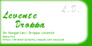 levente droppa business card